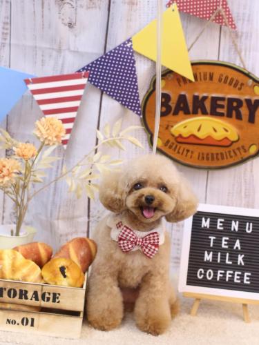 20240927ラブちゃん